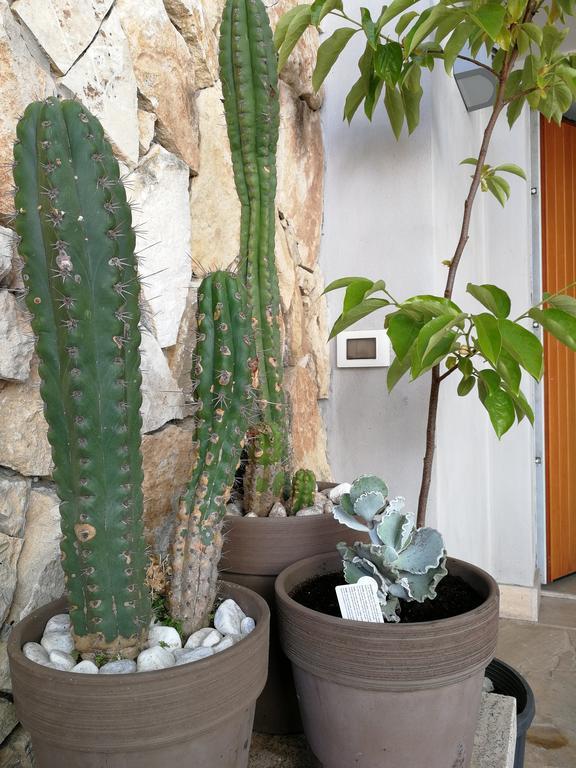 Il Giardino Dei Limoni Bed & Breakfast Aci Castello Exterior photo